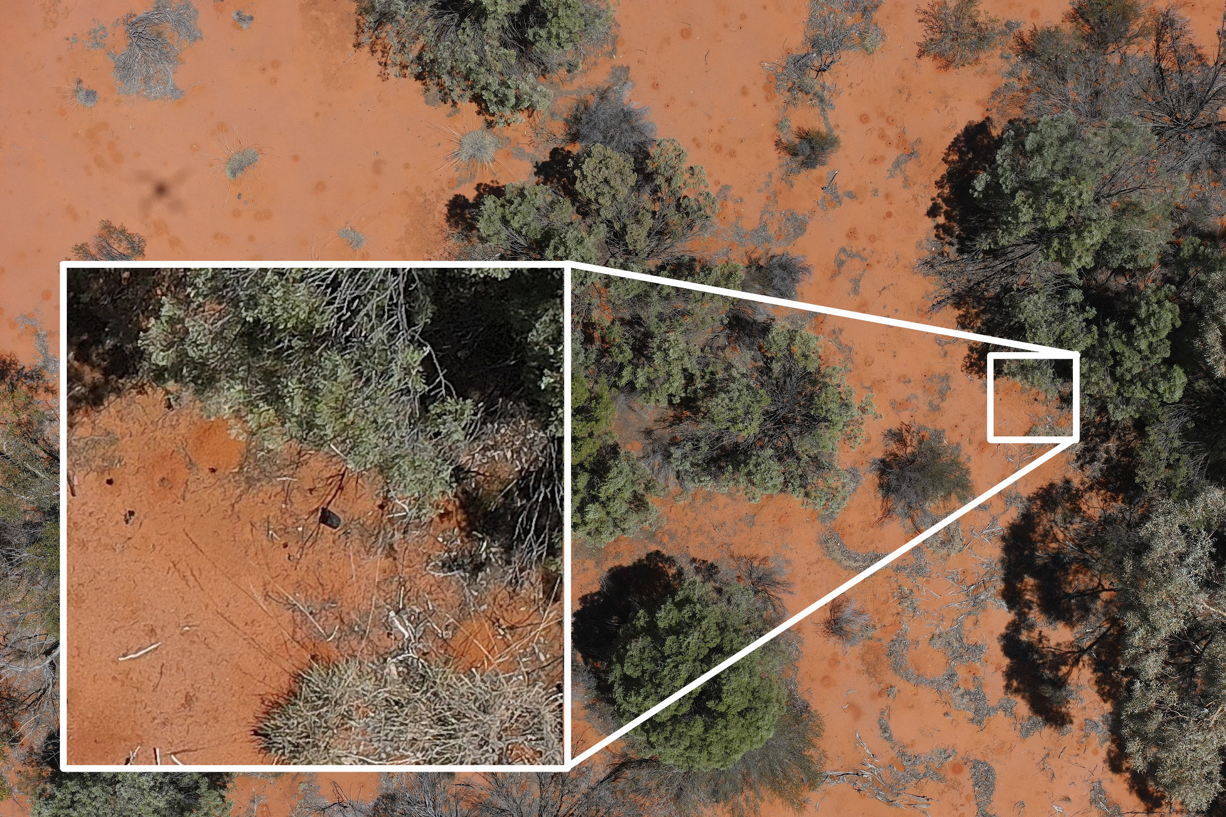 The view of the meteorite from the drone. The tiny black spot was detected the machine learning model.